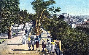 Z ORAN- DIVERS COLORISE - 17